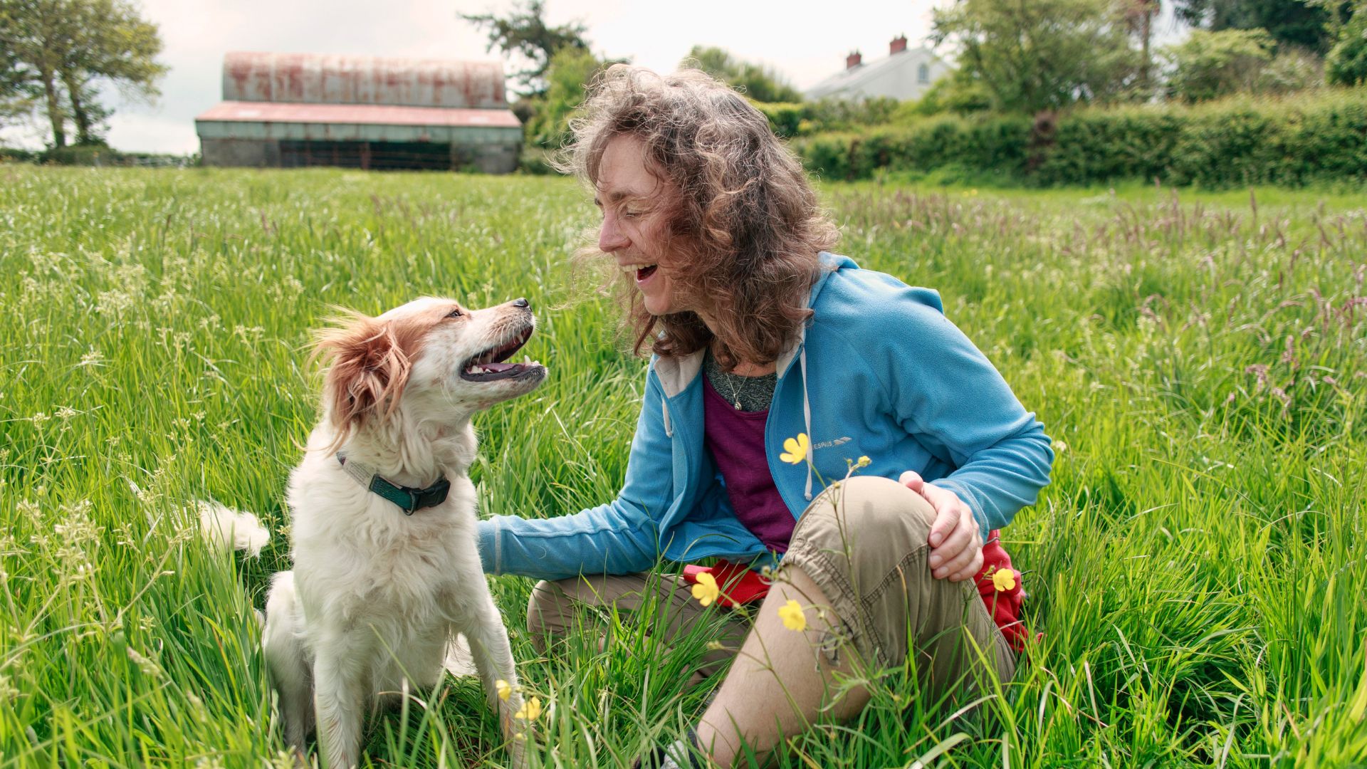 A woman sits down in long grass speckled with buttercups alongside a brown and white Border Collie dog.